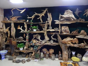 雙鴨山市第八屆工藝美術(shù)創(chuàng)新作品暨旅游紀念品展銷會隆重開幕，本土工藝精品薈萃展風采